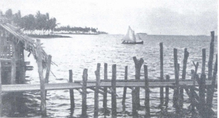 fig6.jpg (95352 bytes)