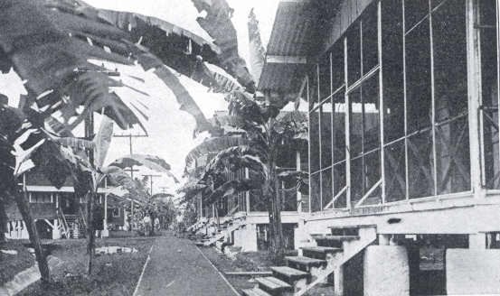 marine3.jpg (45015 bytes)