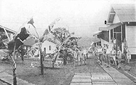 marine5.jpg (29667 bytes)