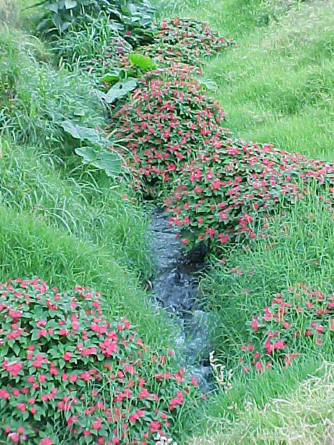 volcanflow.jpg (120755 bytes)