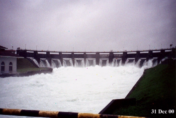 DAMNPIC1.jpg (66807 bytes)