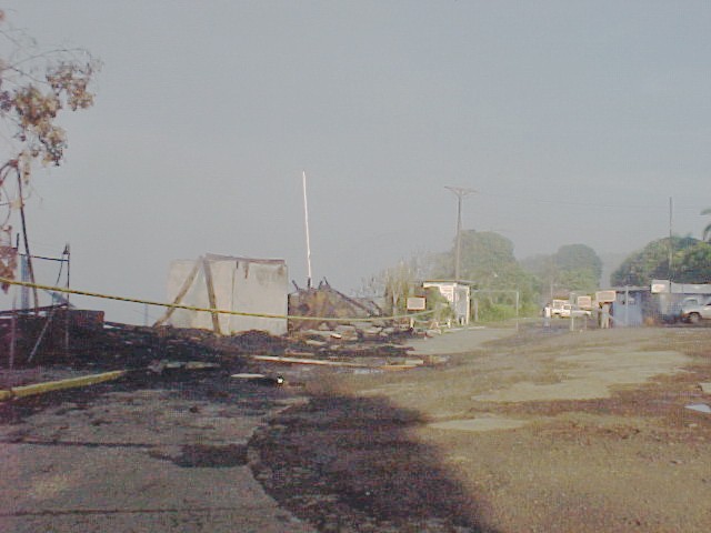 ALb.jpg (44897 bytes)
