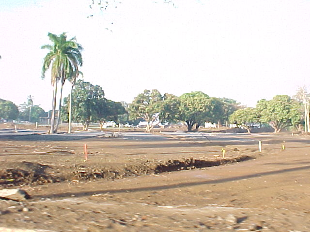 ALc.jpg (61855 bytes)