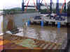 Mvc-010f.jpg (82969 bytes)