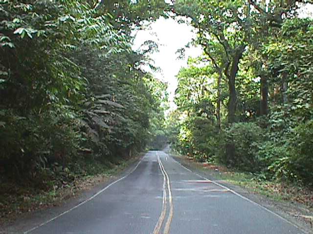roadFP.jpg (51857 bytes)