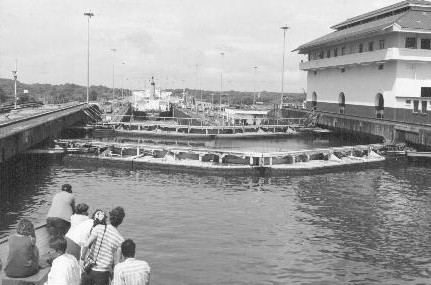 strut arms close.jpg (40640 bytes)